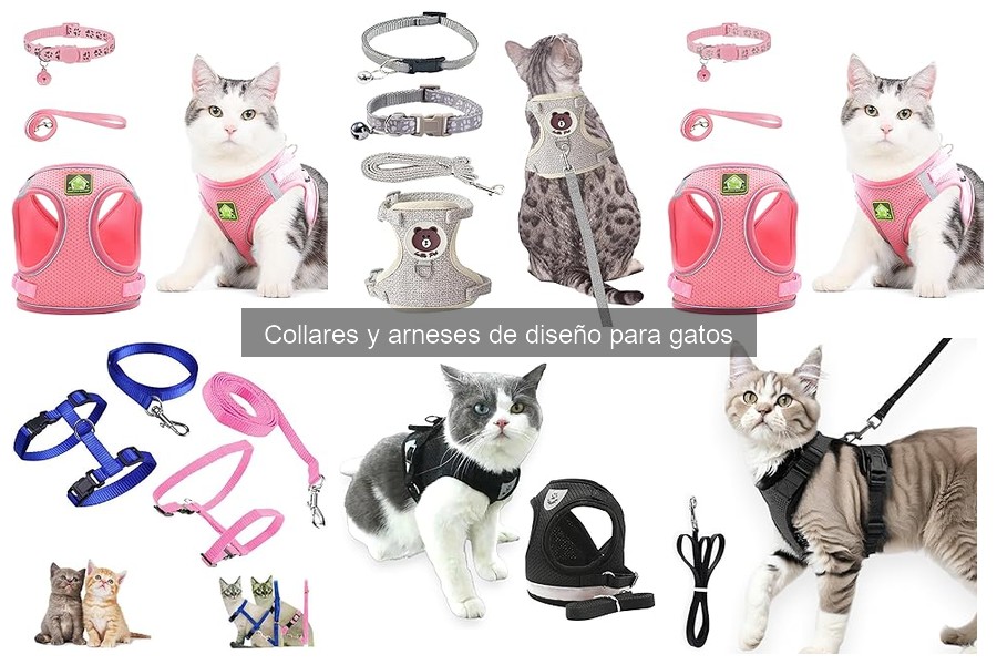 Beneficios de collares y arneses de diseño para gatos