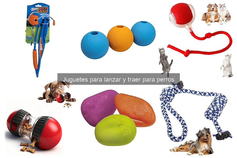Beneficios de jugar a lanzar y traer con tu perro