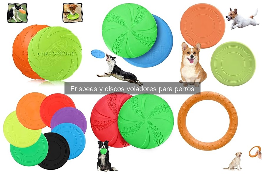Beneficios de jugar con discos voladores para perros