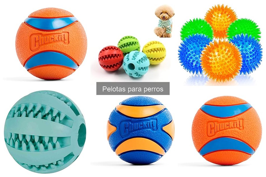 Beneficios de jugar con pelotas para la salud de tu perro