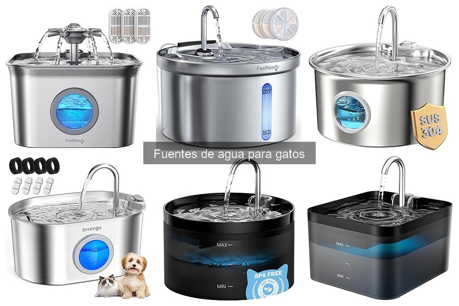 Beneficios de la Filtración en Fuentes de Agua para Gatos
