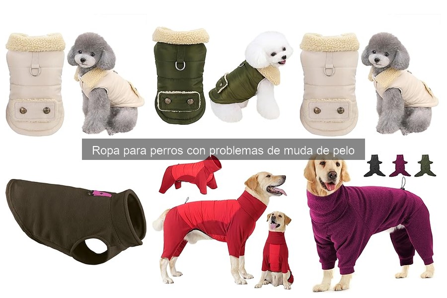 Beneficios de la ropa para perros que mudan pelo
