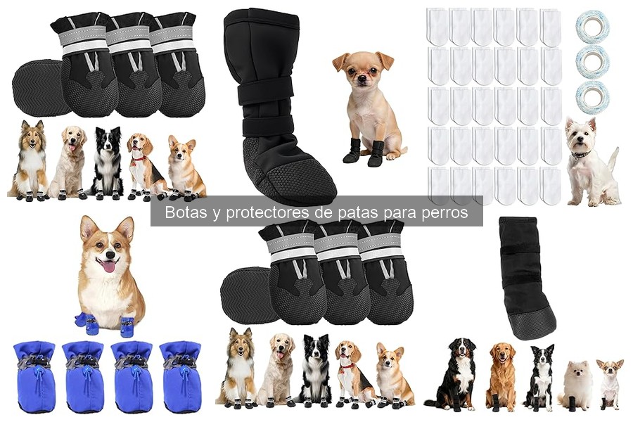 Beneficios de las botas para perros con problemas articulares