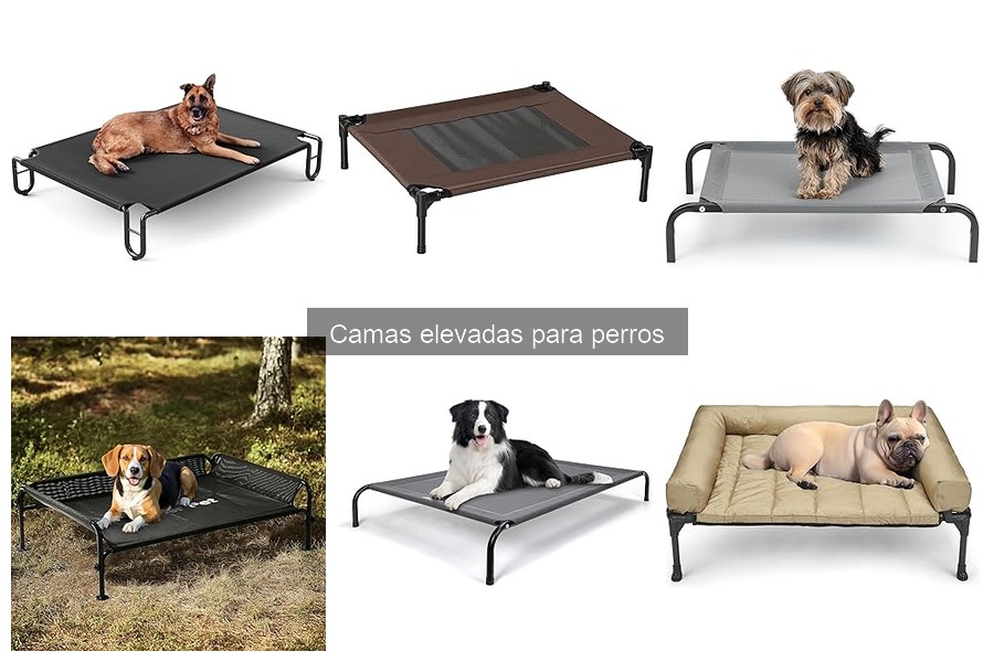 Beneficios de las camas elevadas para perros: comodidad y salud