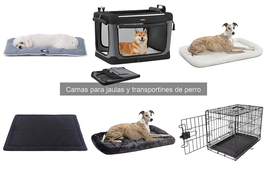 Beneficios de las camas ortopédicas para perros en transportines