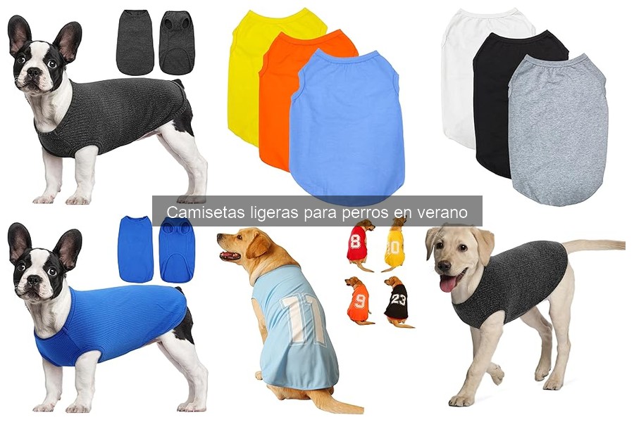 Beneficios de las camisetas ligeras para perros en verano