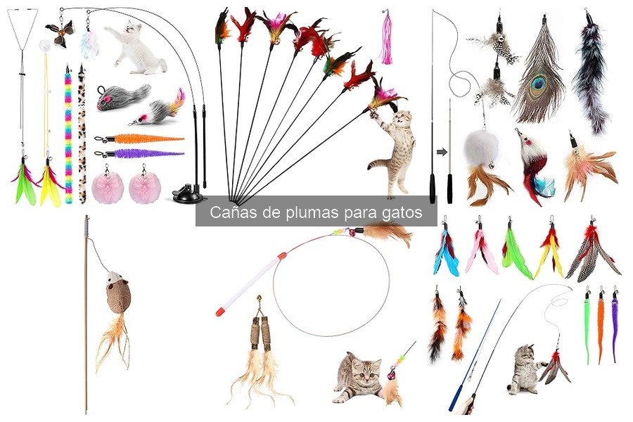 Beneficios de las cañas de plumas para gatos: ¡Mantén a tu felino feliz!