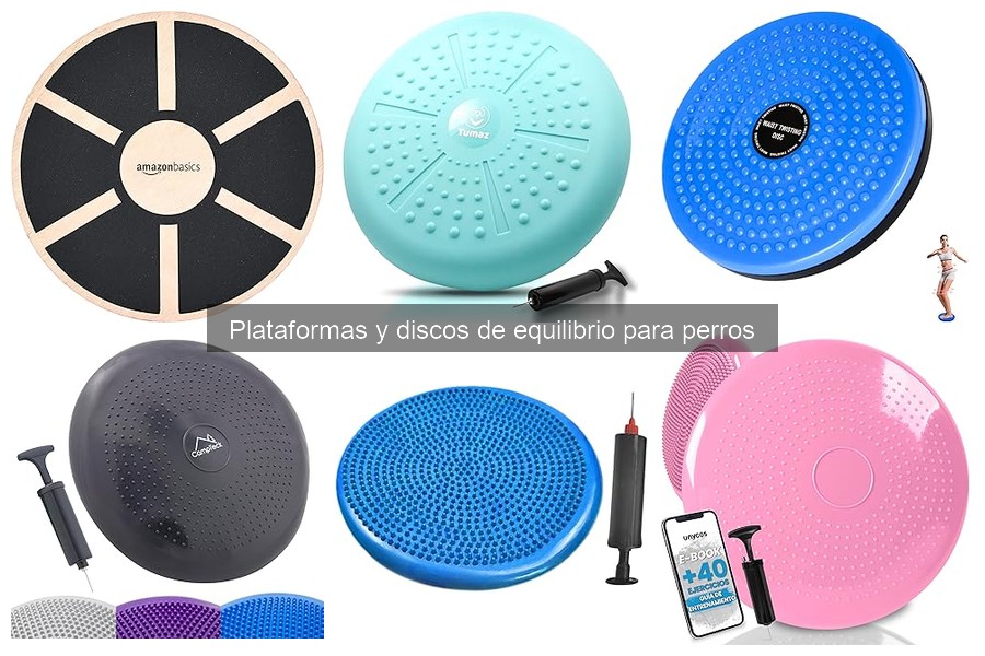 Beneficios de las plataformas de equilibrio para perros