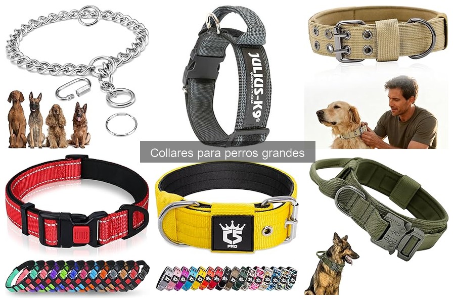 Beneficios de los Collares Reflectantes para Perros Grandes