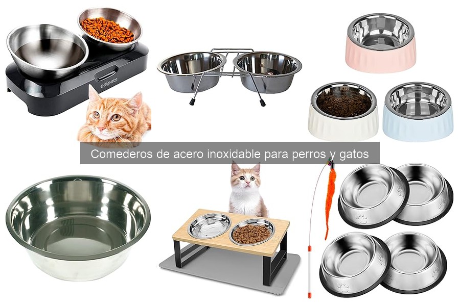 Beneficios de los comederos de acero inoxidable para mascotas