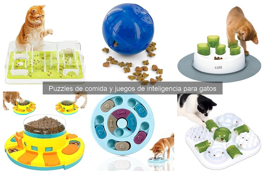 Beneficios de los juegos de inteligencia para gatos