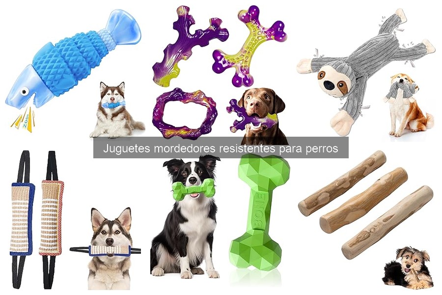 Beneficios de los juguetes mordedores para la salud dental de tu perro