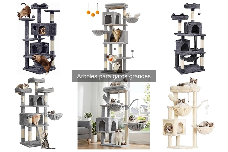 Beneficios de un árbol para gatos grandes: salud y ejercicio