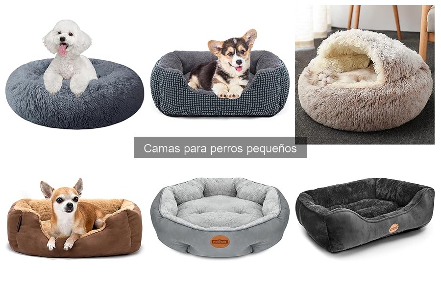 Beneficios de una cama elevada para perros pequeños