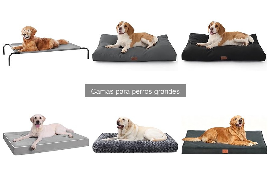 Beneficios de una cama para perros grandes: salud y confort