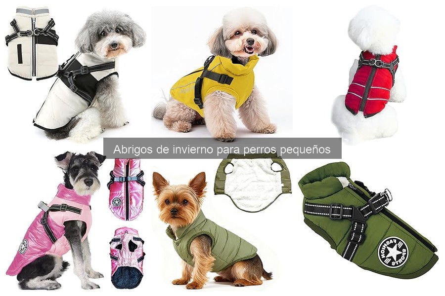 Beneficios de usar abrigos de invierno para perros pequeños