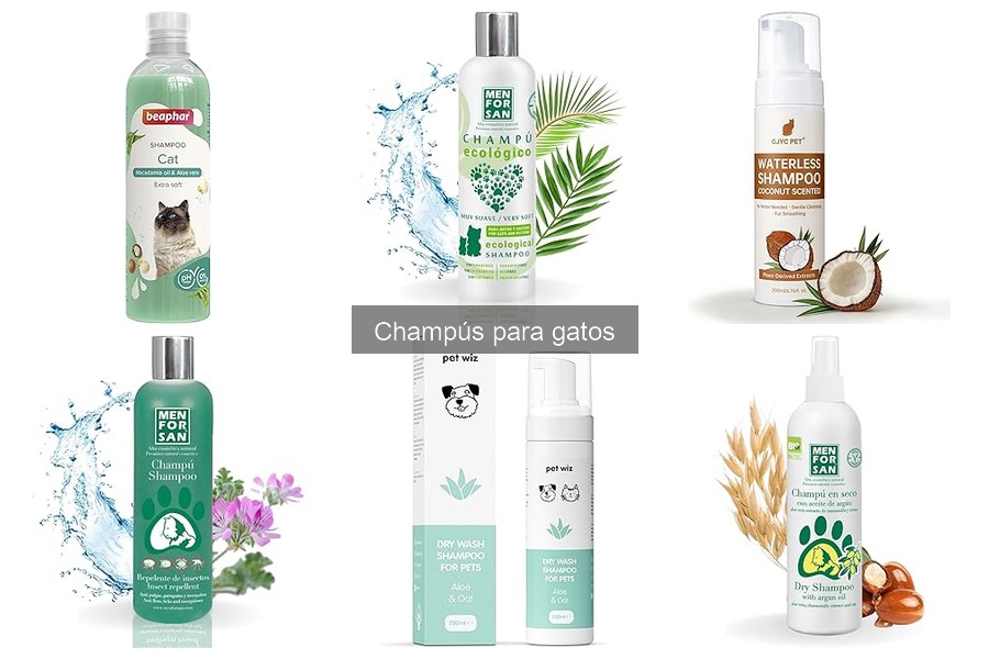 Beneficios de usar champú específico para gatos