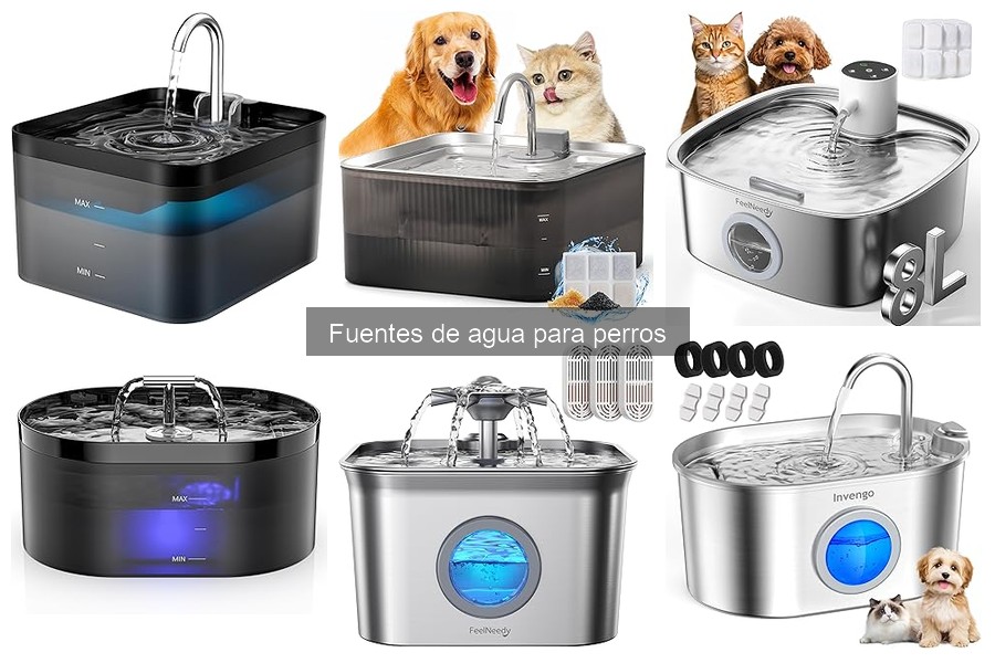 Beneficios de usar fuentes de agua para perros