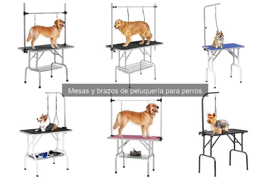 Beneficios de usar mesa de peluquería para perros en grooming