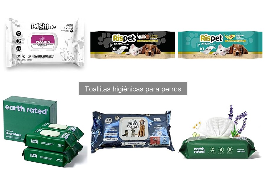 Beneficios de usar toallitas higiénicas para perros