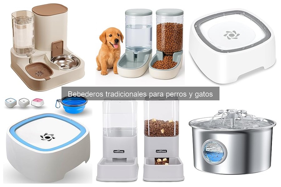 Beneficios de usar un bebedero tradicional para mascotas