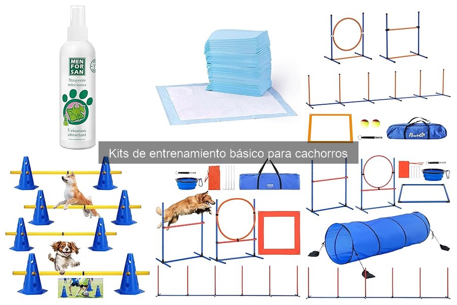 Beneficios de usar un kit de entrenamiento para cachorros