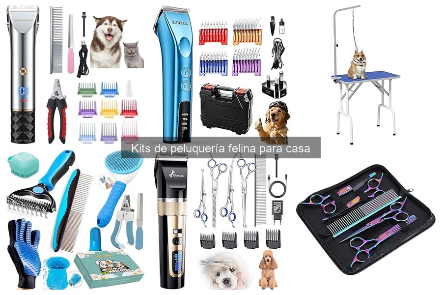 Beneficios de usar un kit de peluquería en casa para gatos