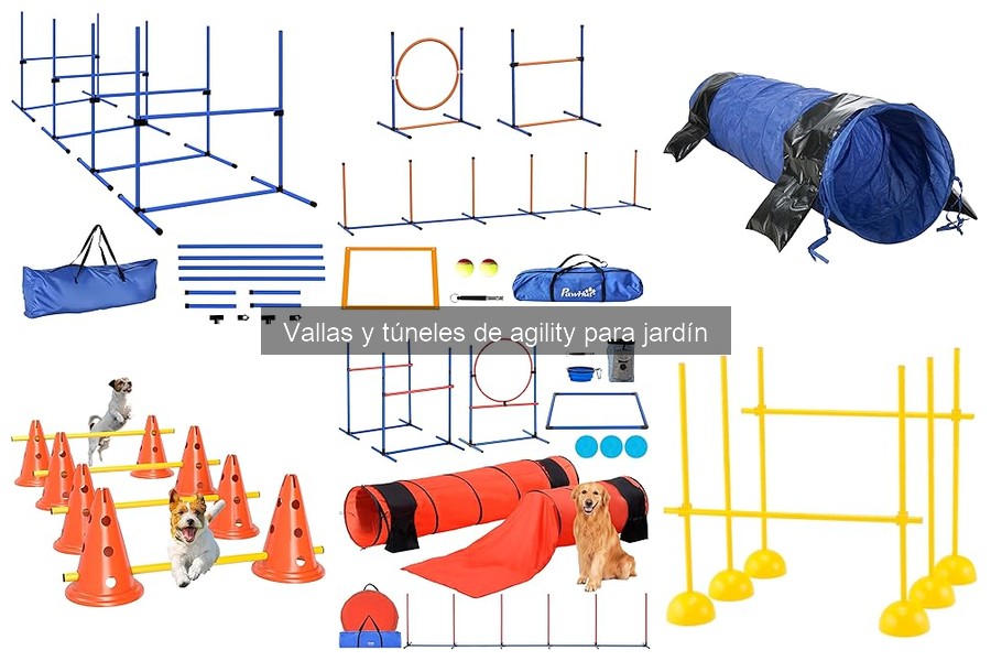 Beneficios de usar vallas y túneles de agility para perros