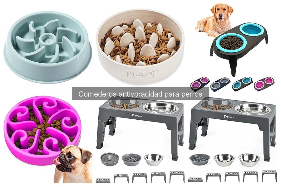 Beneficios de utilizar comederos antivoracidad para perros