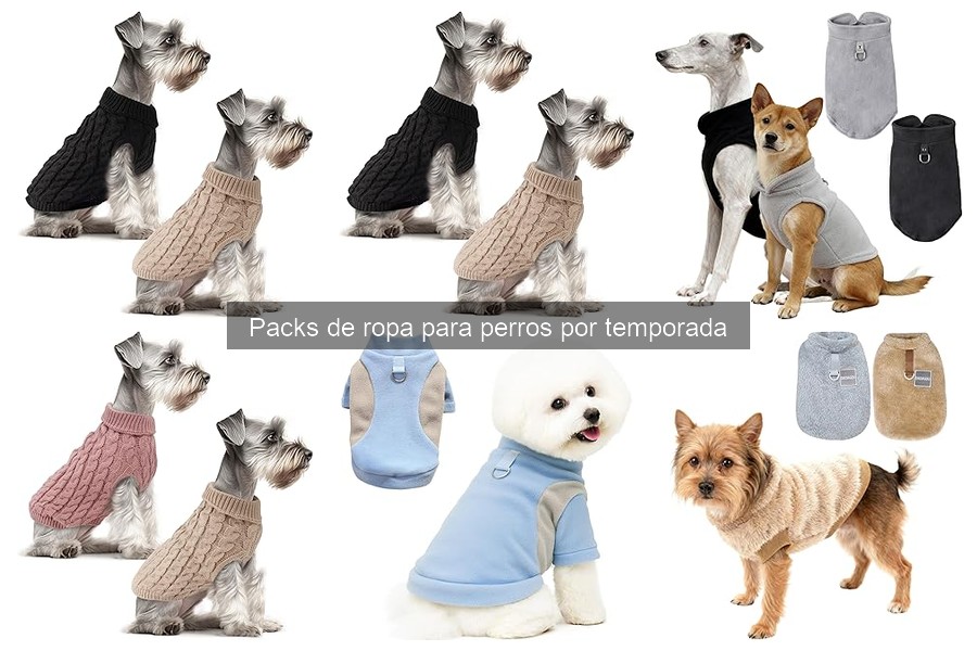 Beneficios de vestir a tu perro según la temporada