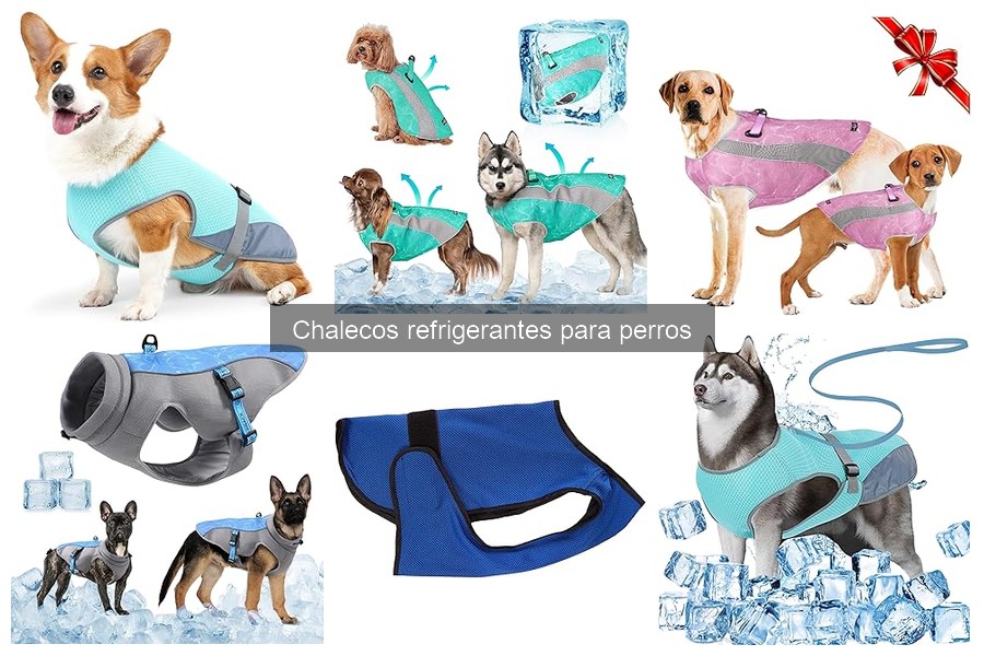 Beneficios del chaleco refrigerante para perros en climas calurosos
