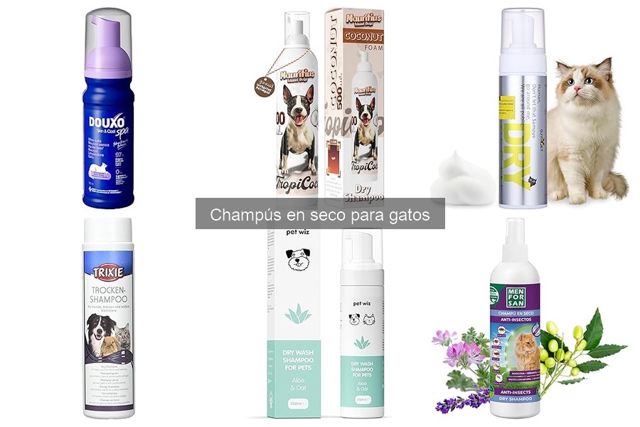 Beneficios del champú en seco para gatos | Limpieza fácil