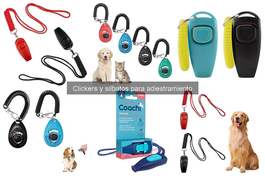 Beneficios del Clicker en el Adiestramiento de Mascotas