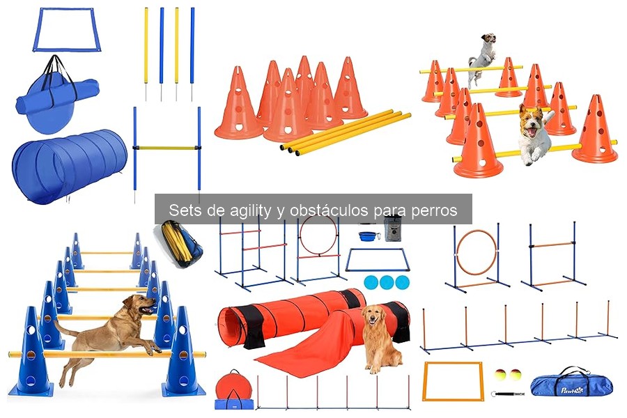 Beneficios del entrenamiento de agility para perros