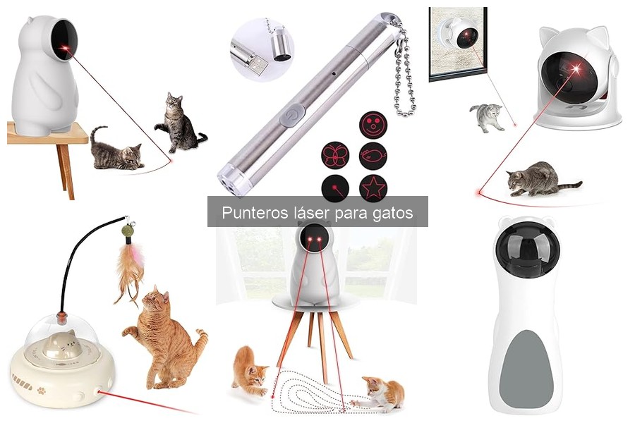Beneficios del Puntero Láser para Gatos: Estimulación y Ejercicio