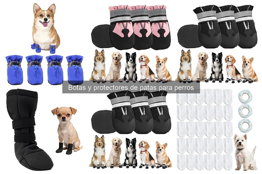 Botas para perros: funciones y beneficios esenciales