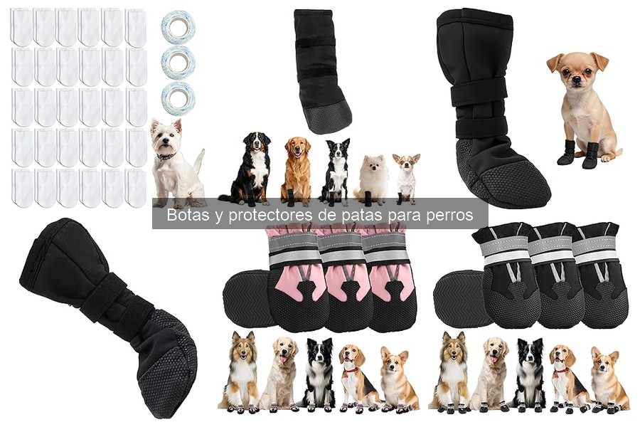 Botas para perros: guía de compra y selección perfecta