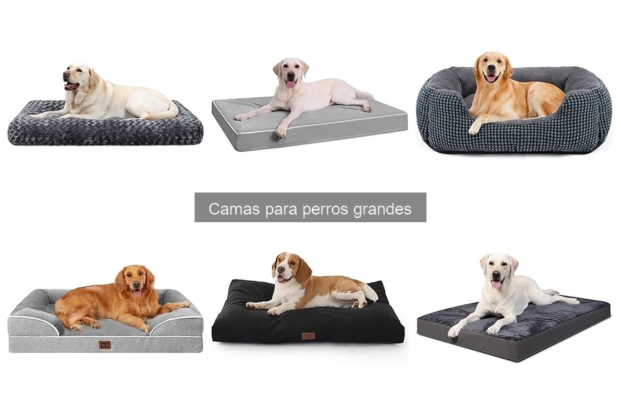 Cama ortopédica para perros grandes: ¿realmente vale la pena?