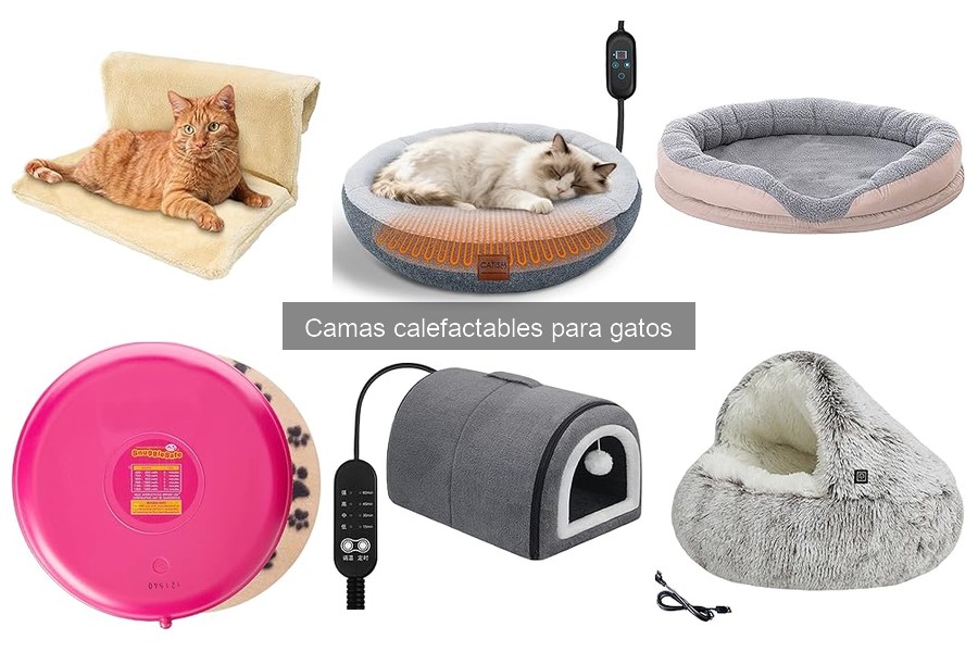 Camas calefactables para gatos: características y beneficios