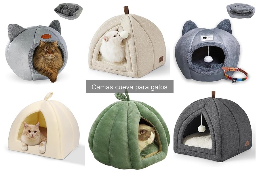 Camas Cueva para Gatos Ancianos: ¿Son la Mejor Opción?