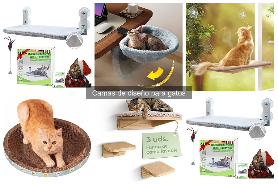 Camas de diseño para gatos: características y estilos
