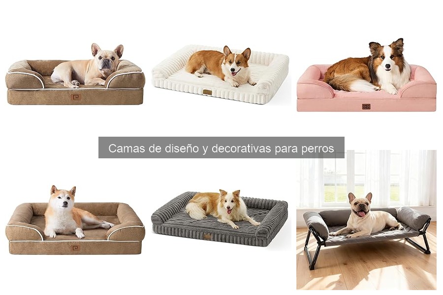 Camas de diseño para perros que adornan tu hogar