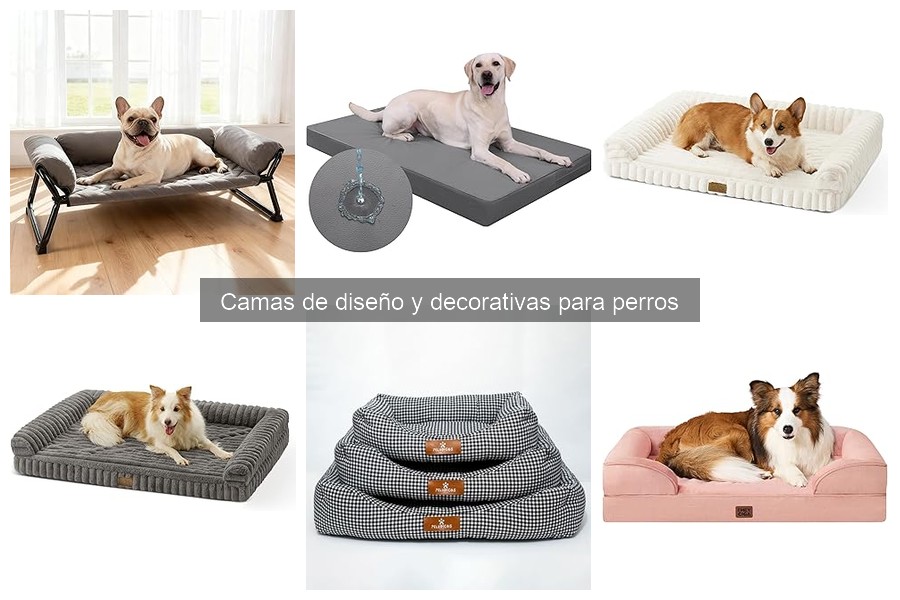 Camas de diseño para perros según el clima: Guía de selección