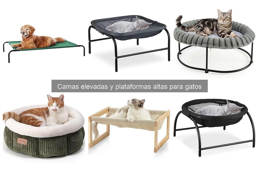 Camas Elevadas para Gatos: Beneficios y Características