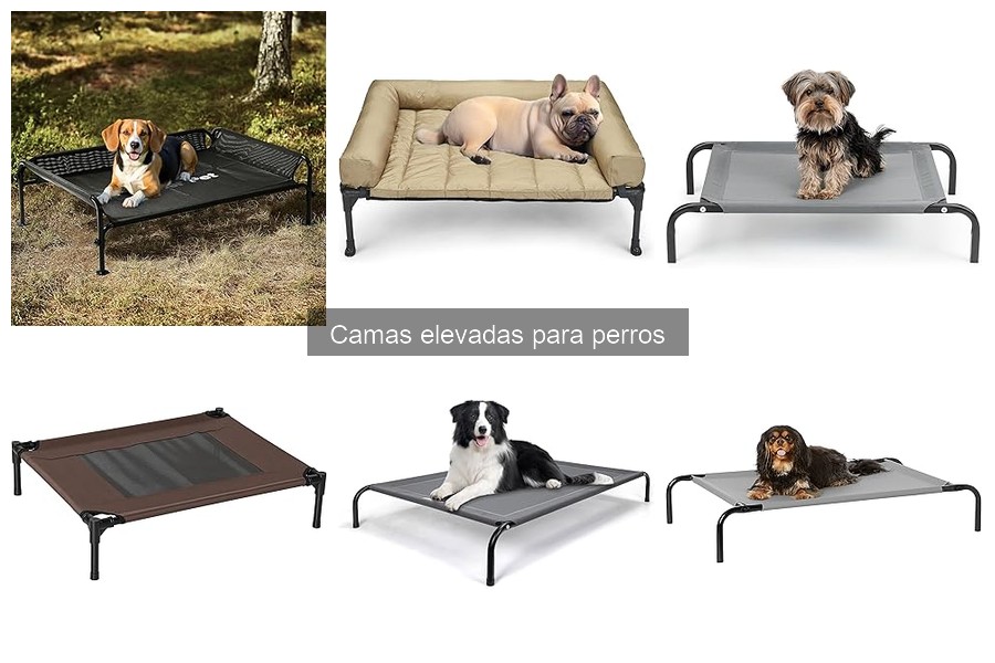 Camas elevadas para perros baratas: dónde comprarlas