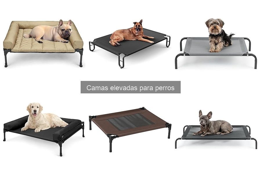 Camas elevadas para perros: ¿Qué son y sus beneficios?
