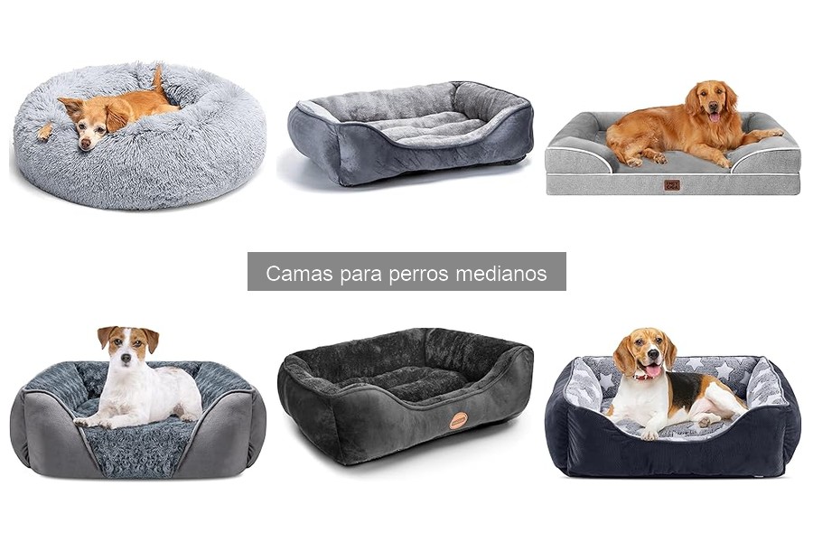 Camas Estéticas para Perros Medianos: Diseño y Comodidad