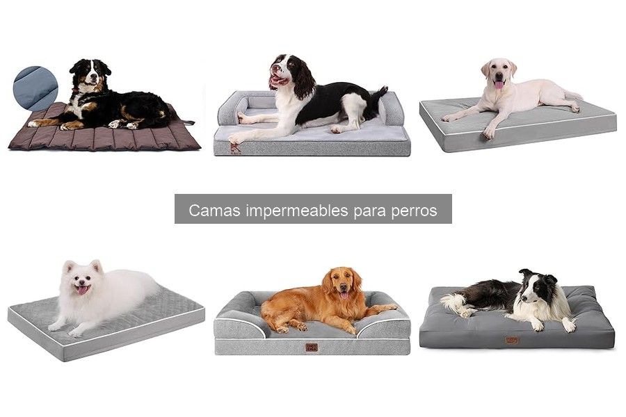 Camas impermeables para perros: beneficios y características