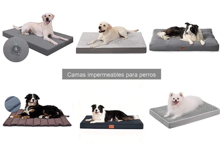 Camas Impermeables para Perros: ¿Son Adecuadas para Todos?