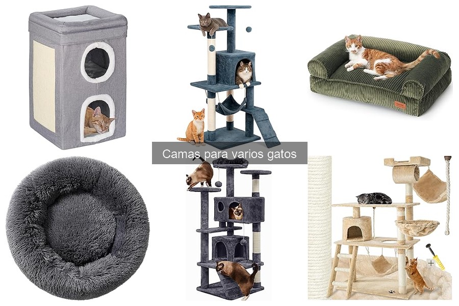 Camas para gatos anti-ansiedad y calefaccionadas: ¡Descubre las mejores!